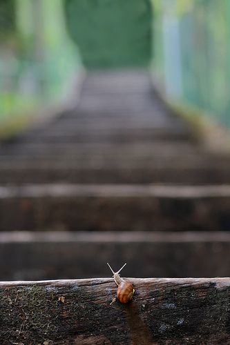 8b94f01feca65b14610db0856e6db1fe